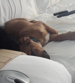 #MyPet: Η πρώτη γνωριμία με την Όμορφη