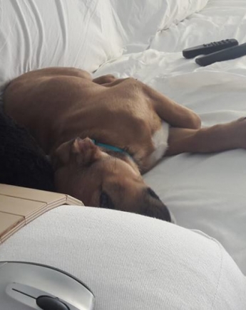 #MyPet: Η πρώτη γνωριμία με την Όμορφη