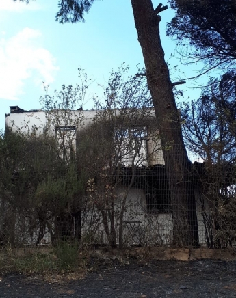 Δεν θα περάσει έτσι: Η πρώτη μήνυση πολίτη για ανθρωποκτονία εκ προθέσεως μόλις κατατέθηκε