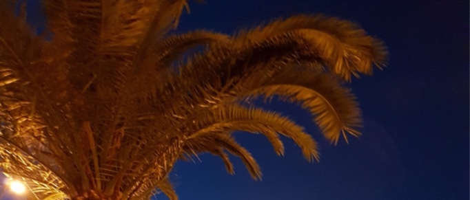 Χωρισμένη, μόνη, μπερδεμένη; Don’t Worry, Be Happy!